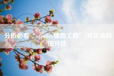 分析必看“wepoker辅助工具”(其实真的能开挂)