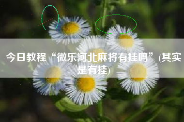今日教程“微乐河北麻将有挂吗	”(其实是有挂)