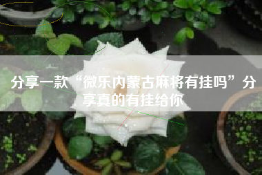 分享一款“微乐内蒙古麻将有挂吗	”分享真的有挂给你