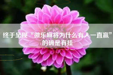 终于呈现“微乐麻将为什么有人一直赢	”的确是有挂