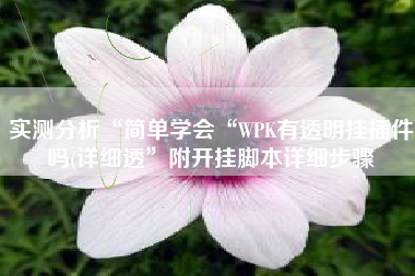 实测分析“简单学会“WPK有透明挂插件吗(详细透	”附开挂脚本详细步骤