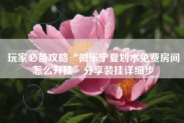 玩家必备攻略“微乐宁夏划水免费房间怎么开挂	”分享装挂详细步