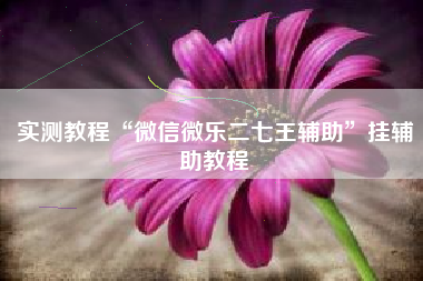 实测教程“微信微乐二七王辅助”挂辅助教程