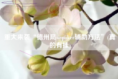重大来袭“德州局wepoker辅助方法”(真的有挂)