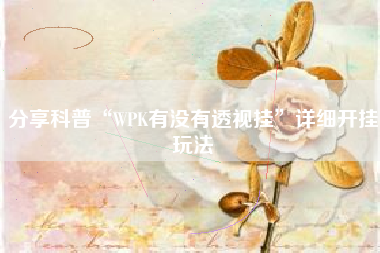 分享科普“WPK有没有透视挂	”详细开挂玩法
