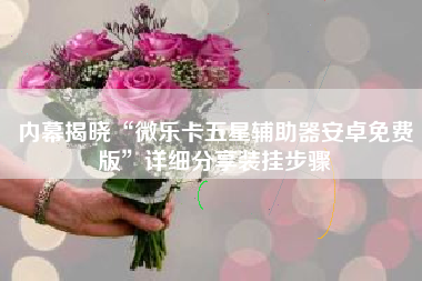 内幕揭晓“微乐卡五星辅助器安卓免费版	”详细分享装挂步骤