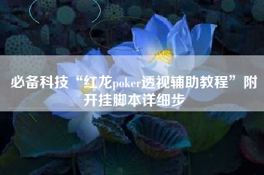 必备科技“红龙poker透视辅助教程”附开挂脚本详细步