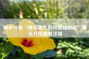 解析分享“微乐填大坑开挂辅助器”爆光开挂猫腻详情