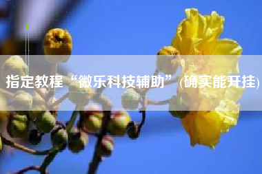 指定教程“微乐科技辅助”(确实能开挂)