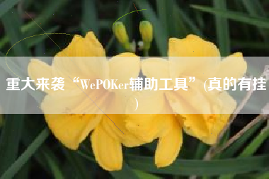 重大来袭“WePOKer辅助工具	”(真的有挂)