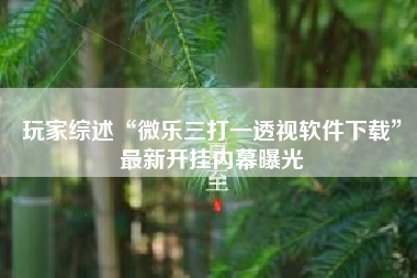 玩家综述“微乐三打一透视软件下载”最新开挂内幕曝光