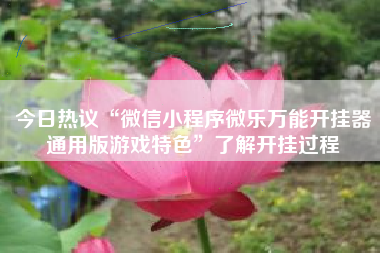 今日热议“微信小程序微乐万能开挂器通用版游戏特色”了解开挂过程