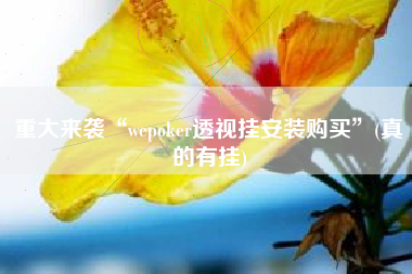 重大来袭“wepoker透视挂安装购买”(真的有挂)