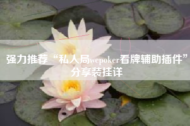 强力推荐“私人局wepoker看牌辅助插件”分享装挂详