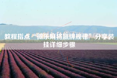 教程指点“微乐麻将赢牌规律”分享装挂详细步骤