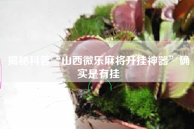 揭秘科普“山西微乐麻将开挂神器	”确实是有挂