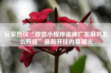 玩家热议“微信小程序雀神广东麻将怎么开挂”最新开挂内幕曝光