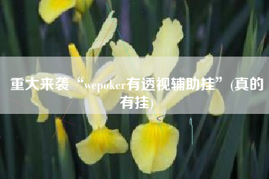 重大来袭“wepoker有透视辅助挂”(真的有挂)