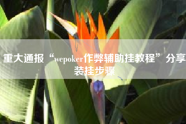 重大通报“wepoker作弊辅助挂教程”分享装挂步骤