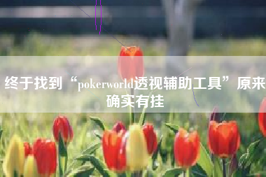 终于找到“pokerworld透视辅助工具”原来确实有挂