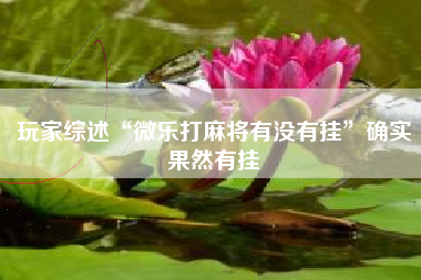 玩家综述“微乐打麻将有没有挂	”确实果然有挂