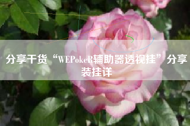 分享干货“WEPokeR辅助器透视挂	”分享装挂详
