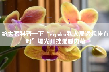 给大家科普一下“wepoker私人局透视挂有吗	”爆光开挂猫腻内幕