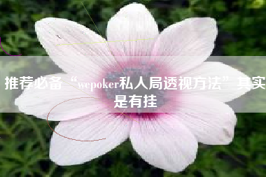 推荐必备“wepoker私人局透视方法	”其实是有挂