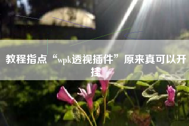 教程指点“wpk透视插件	”原来真可以开挂