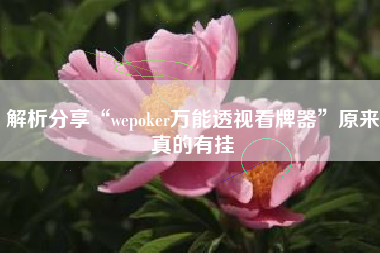 解析分享“wepoker万能透视看牌器	”原来真的有挂