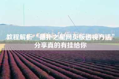 教程解析“德扑之星网页版透视方法	”分享真的有挂给你