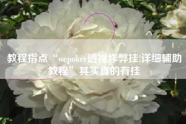教程指点“wepoker透视作弊挂!详细辅助教程	”其实真的有挂