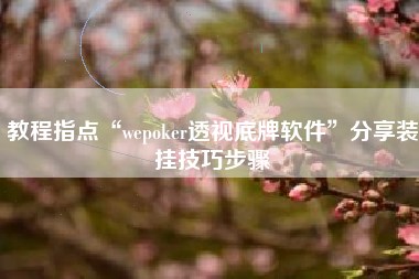 教程指点“wepoker透视底牌软件	”分享装挂技巧步骤