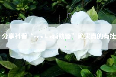 分享科普“wepoker辅助器”确实真的有挂