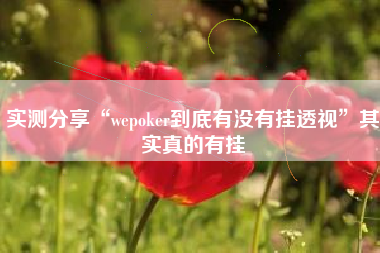 实测分享“wepoker到底有没有挂透视”其实真的有挂