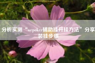 分析实测“wepoker辅助挂开挂方法”分享装挂步骤