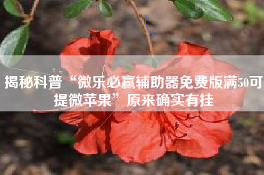 揭秘科普“微乐必赢辅助器免费版满50可提微苹果”原来确实有挂