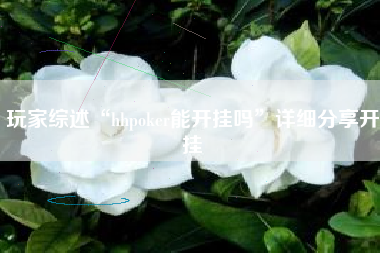 玩家综述“hhpoker能开挂吗”详细分享开挂