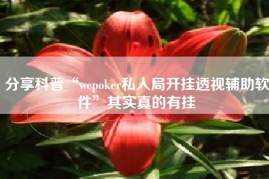 分享科普“wepoker私人局开挂透视辅助软件”其实真的有挂