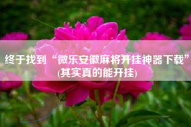 终于找到“微乐安徽麻将开挂神器下载”(其实真的能开挂)