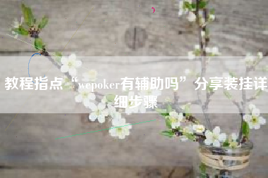 教程指点“wepoker有辅助吗”分享装挂详细步骤