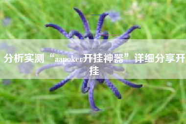 分析实测“aapoker开挂神器	”详细分享开挂