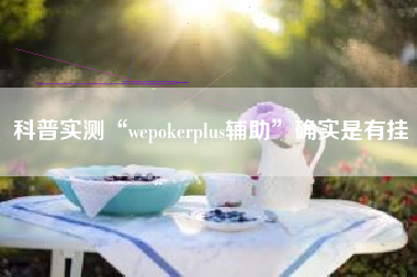 科普实测“wepokerplus辅助	”确实是有挂