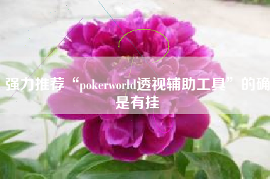 强力推荐“pokerworld透视辅助工具	”的确是有挂