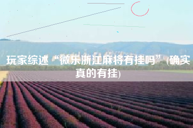 玩家综述“微乐浙江麻将有挂吗”(确实真的有挂)