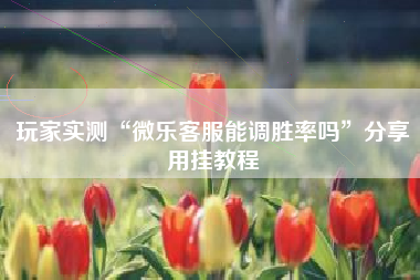 玩家实测“微乐客服能调胜率吗”分享用挂教程