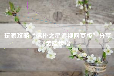 玩家攻略“德扑之星透视网页版”分享装挂步骤