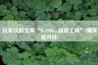 玩家攻略宝典“WePOKer辅助工具”(确实能开挂)