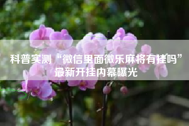 科普实测“微信里面微乐麻将有挂吗”最新开挂内幕曝光