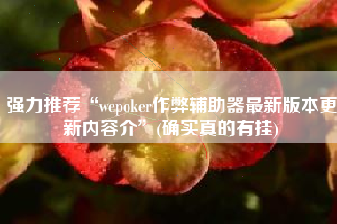 强力推荐“wepoker作弊辅助器最新版本更新内容介	”(确实真的有挂)